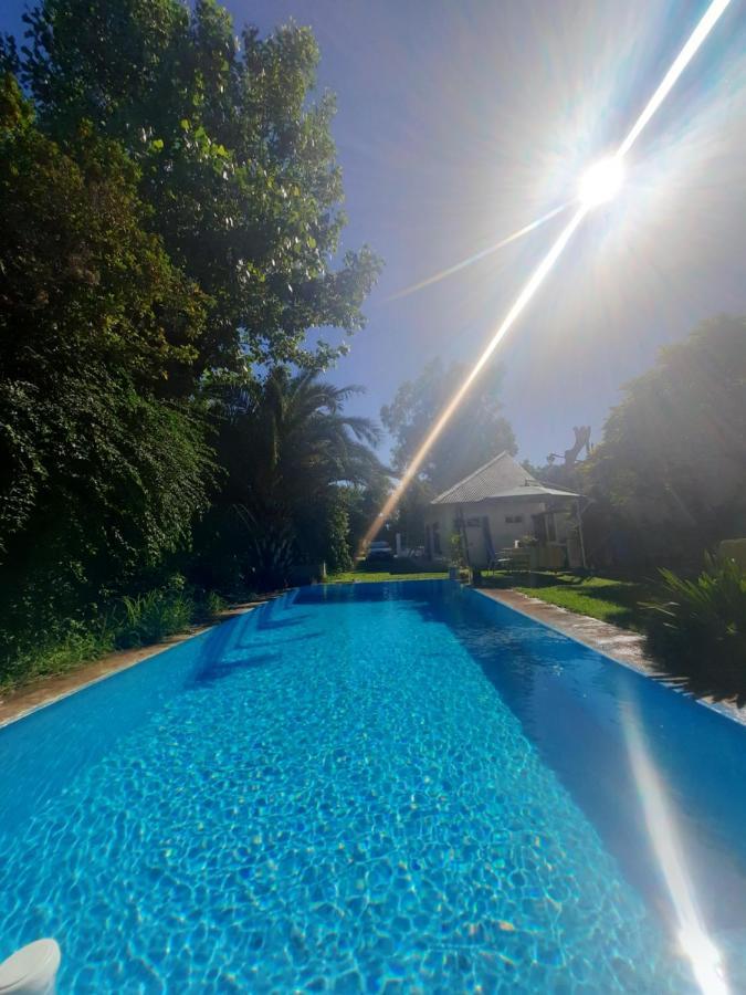 Apartment Palmeras