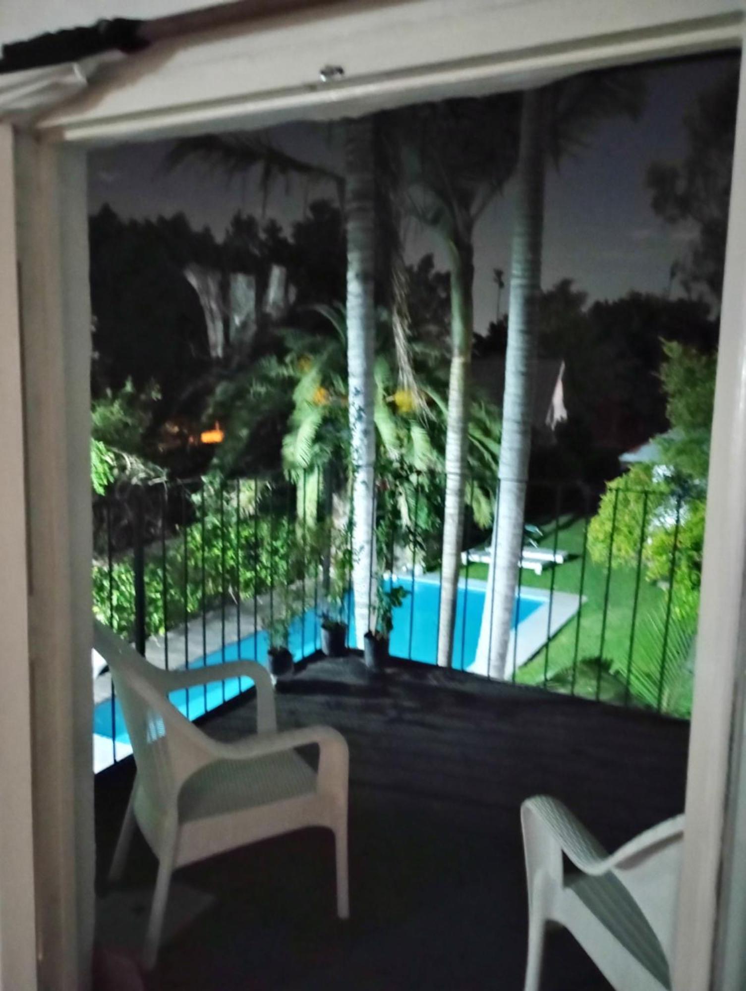 Palmeras * Don Torcuato